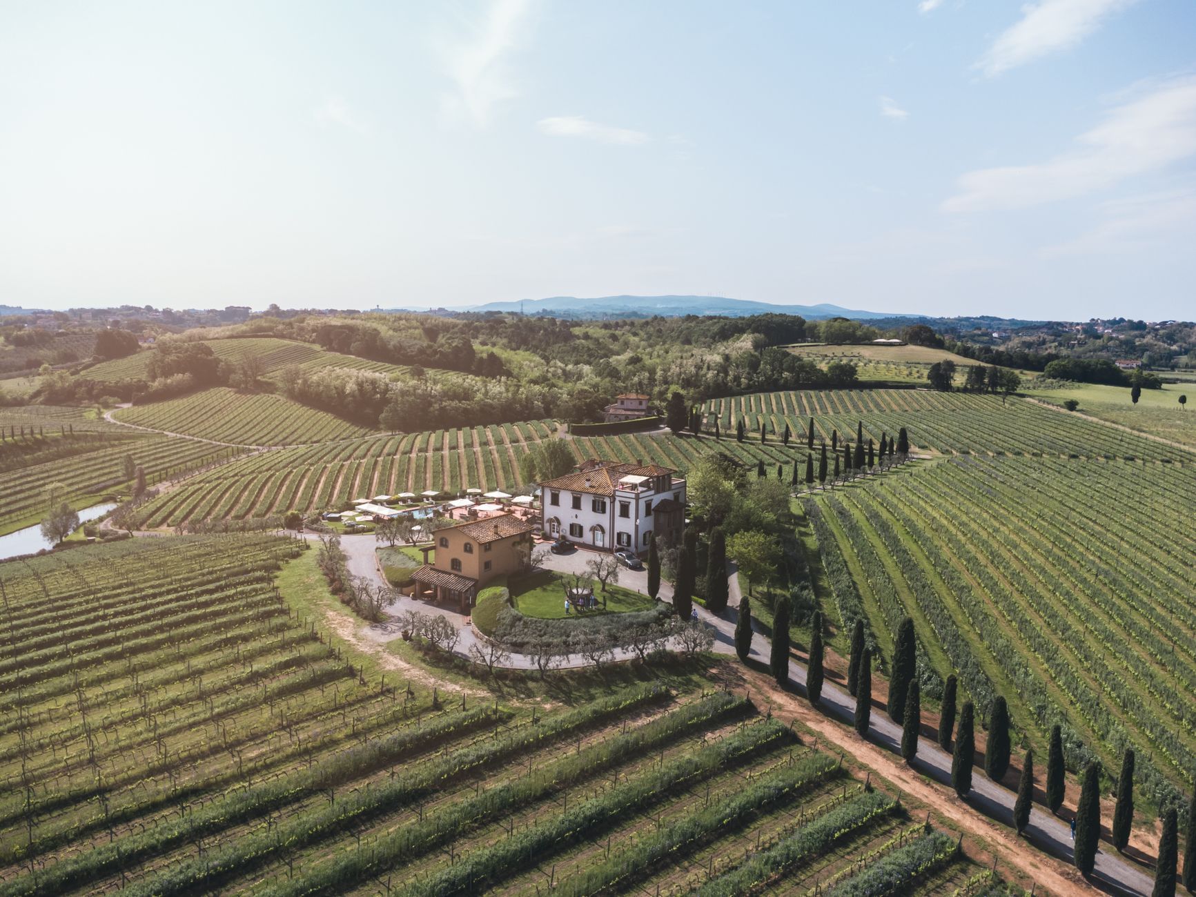 Tuscan Vineyard at Sunset