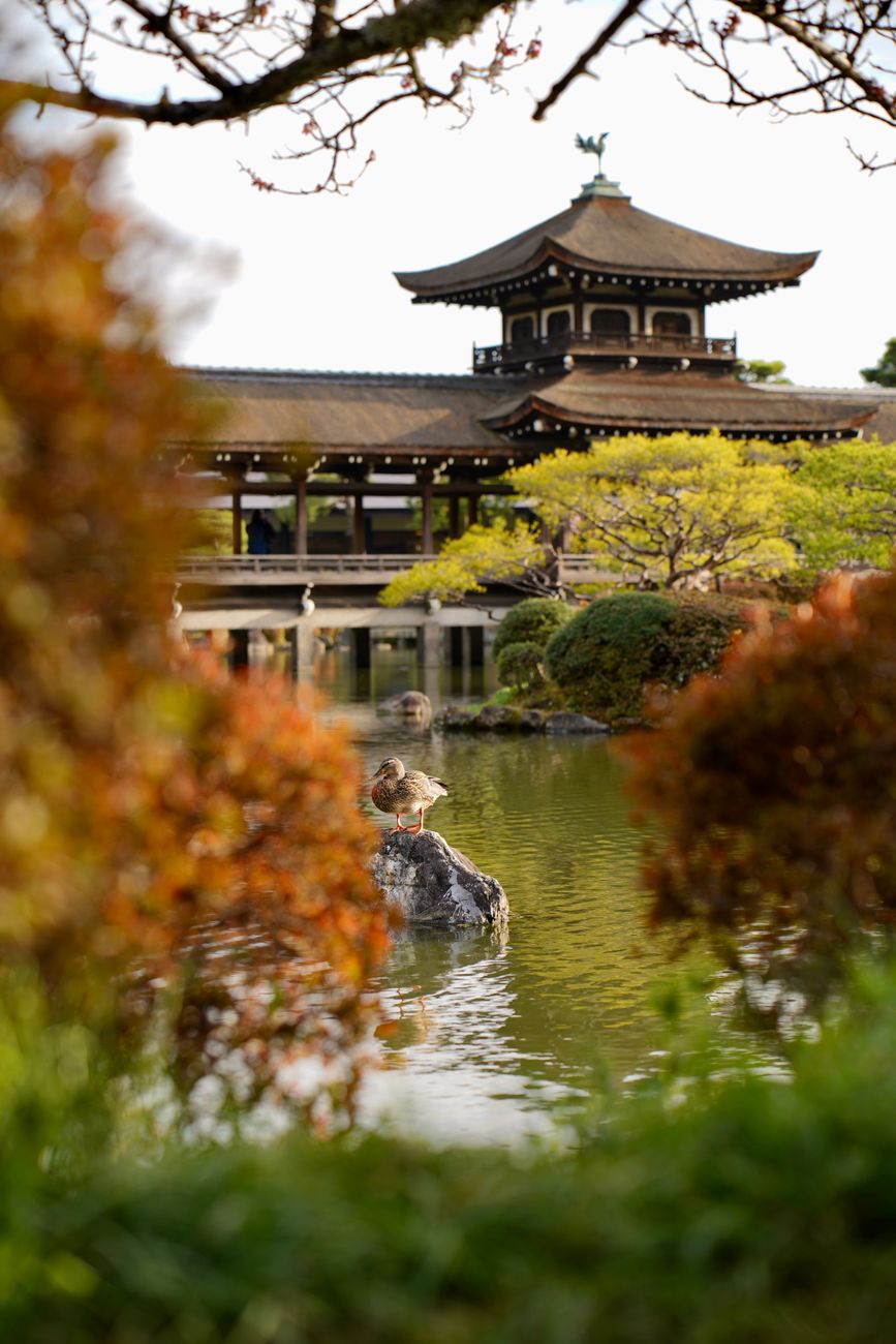 Kyoto Archives
